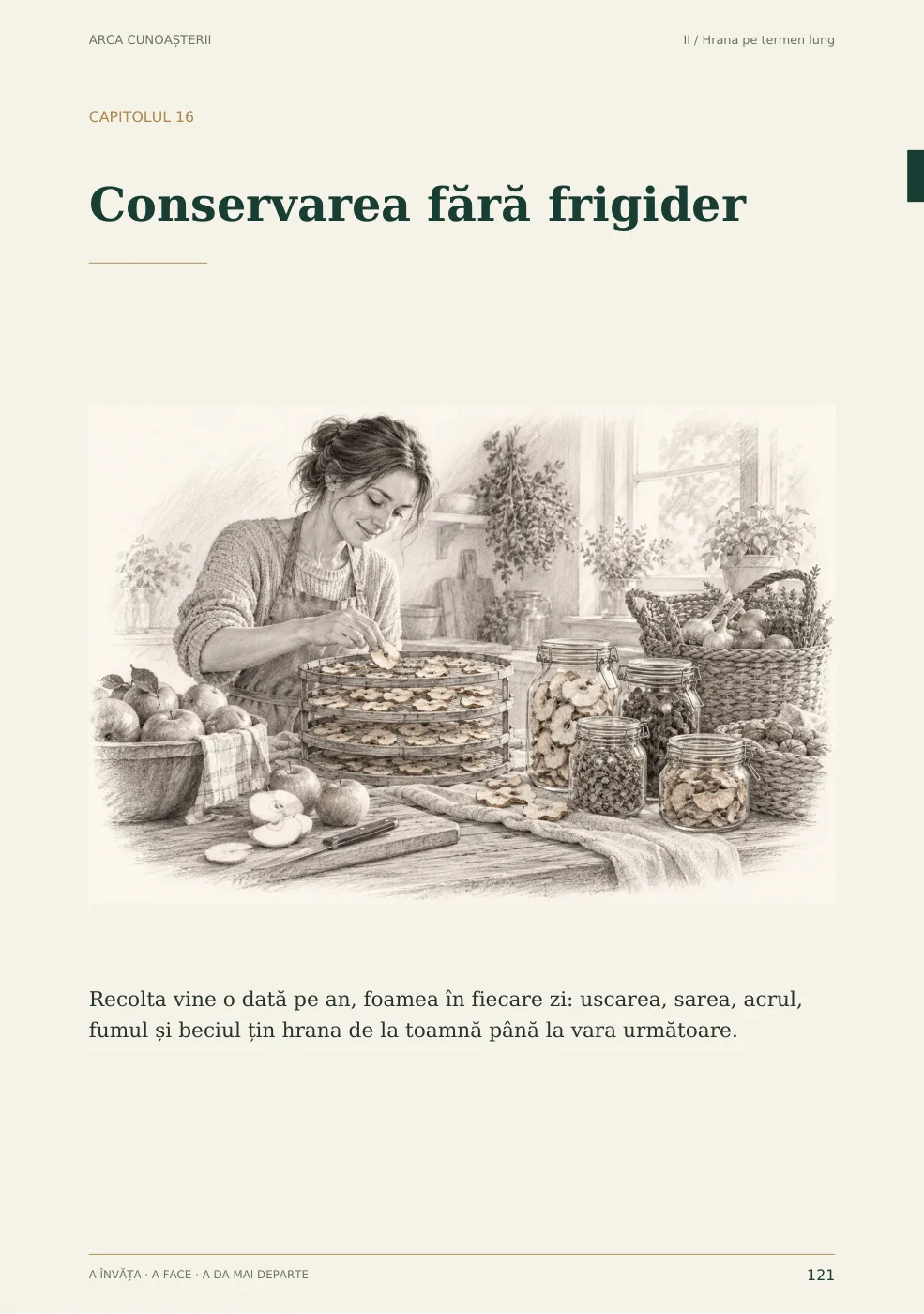 Pagina 121 din Arca cunoașterii