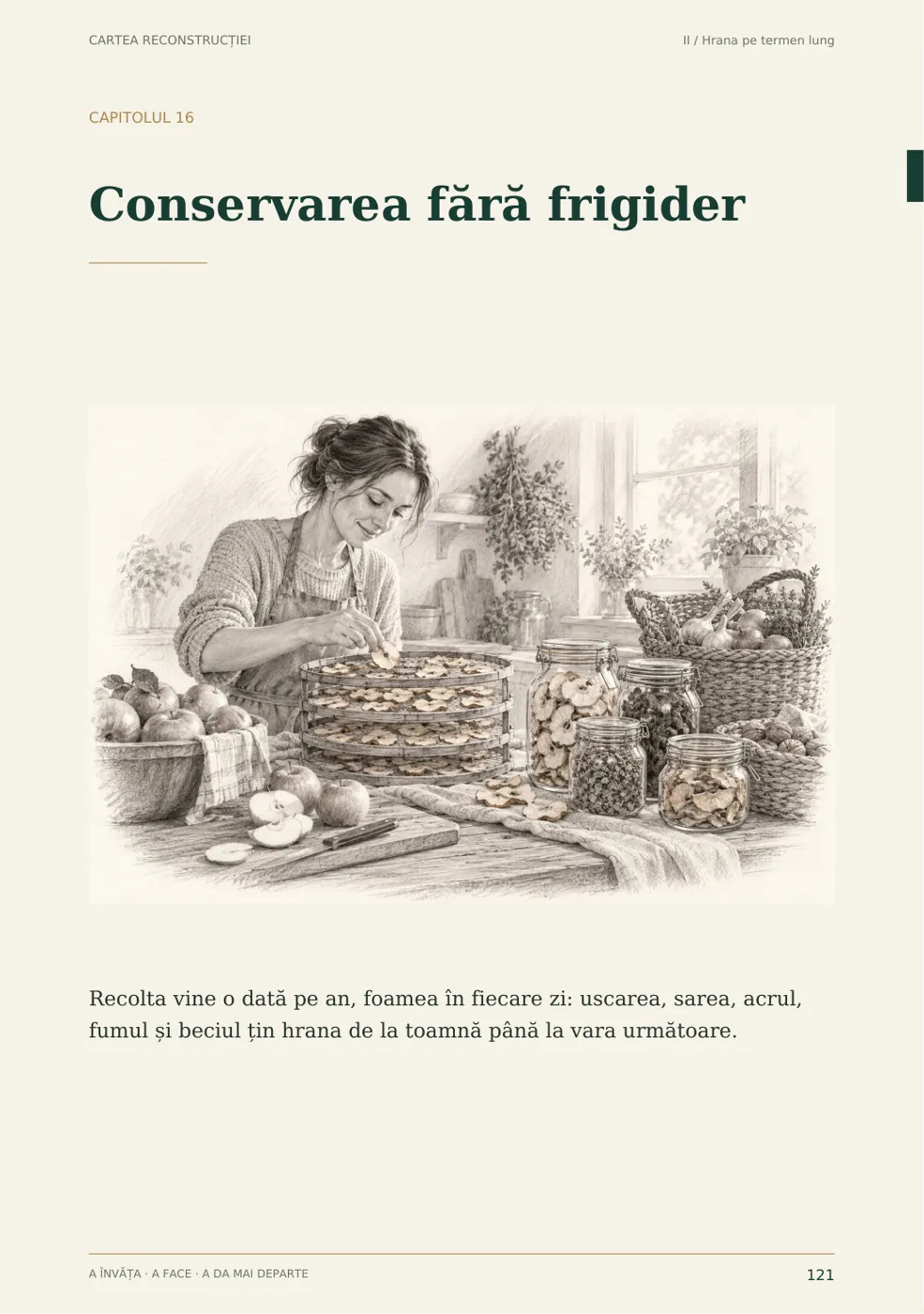 Pagina 121 din Cartea reconstrucției